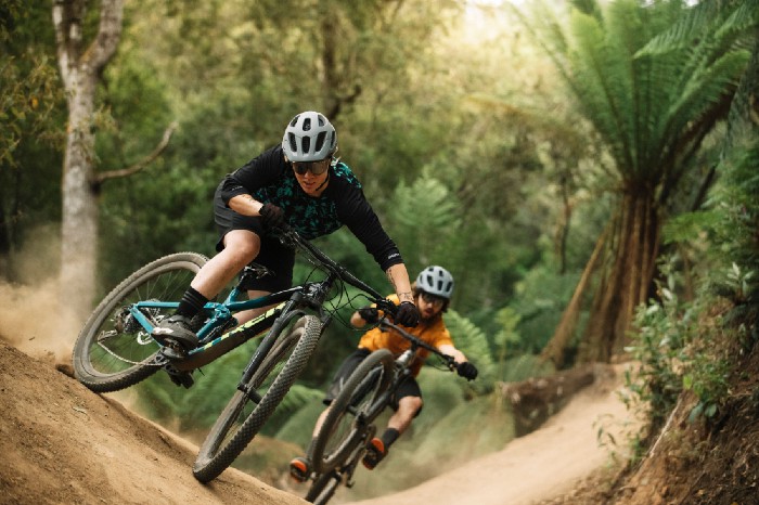 two people riding bikes on a forest trail
